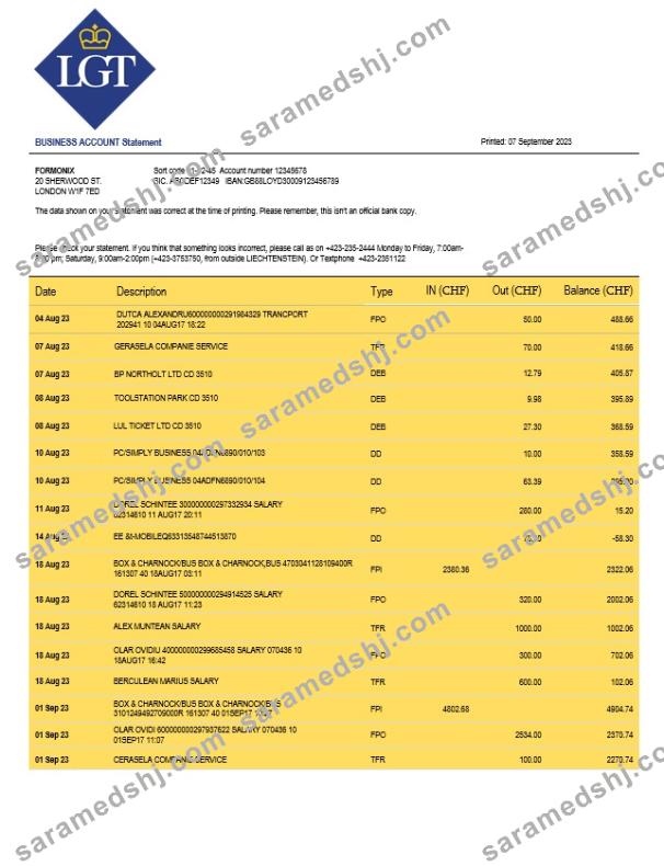 LGT Bank organization checking account statement Word and PDF template